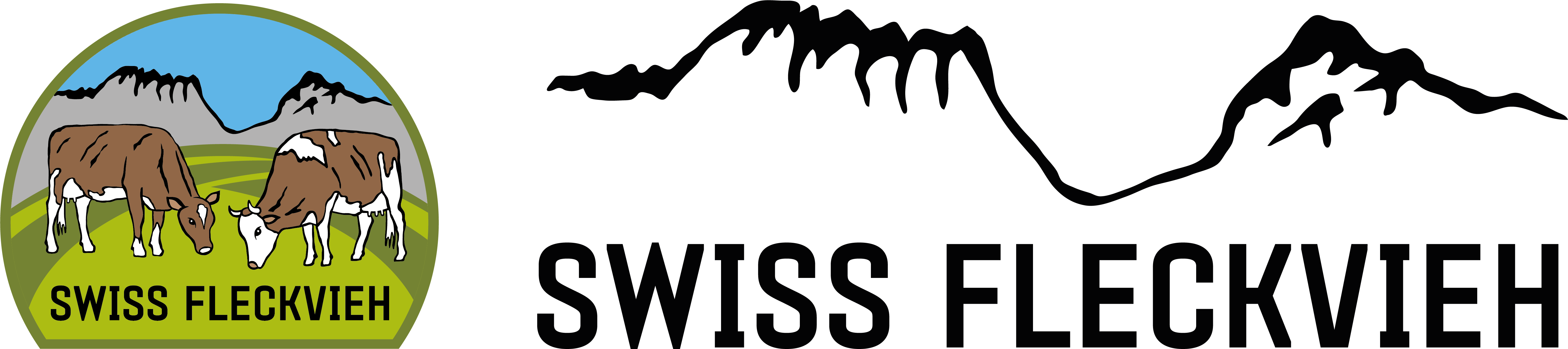 Zur Startseite gehen